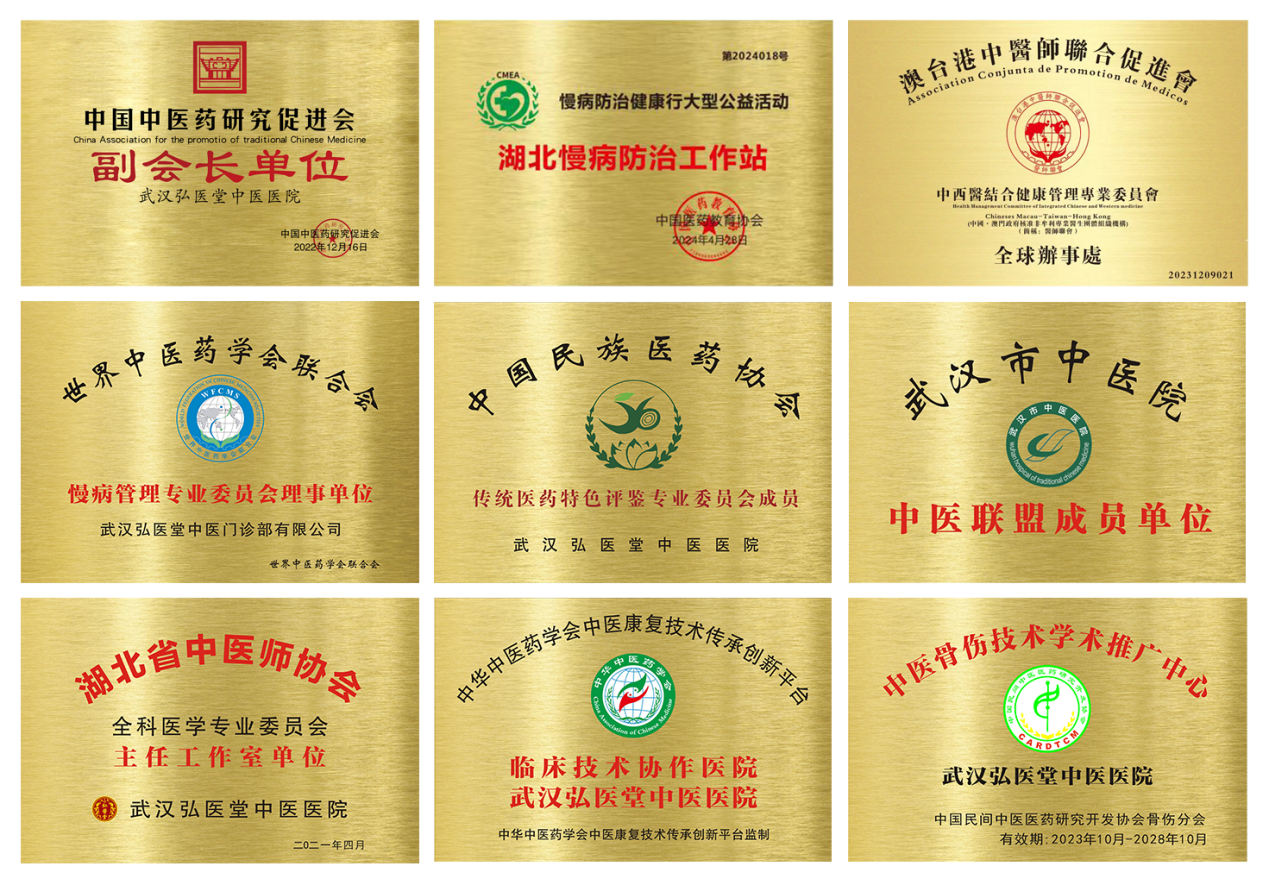 辉煌与成就插图